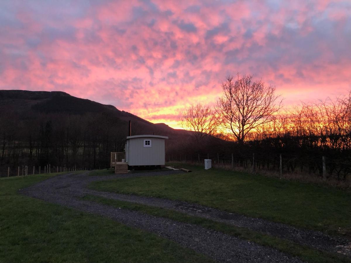 Rosemary Shepherds Hut, Clay Bank Huts Ingleby Greenhow Buitenkant foto