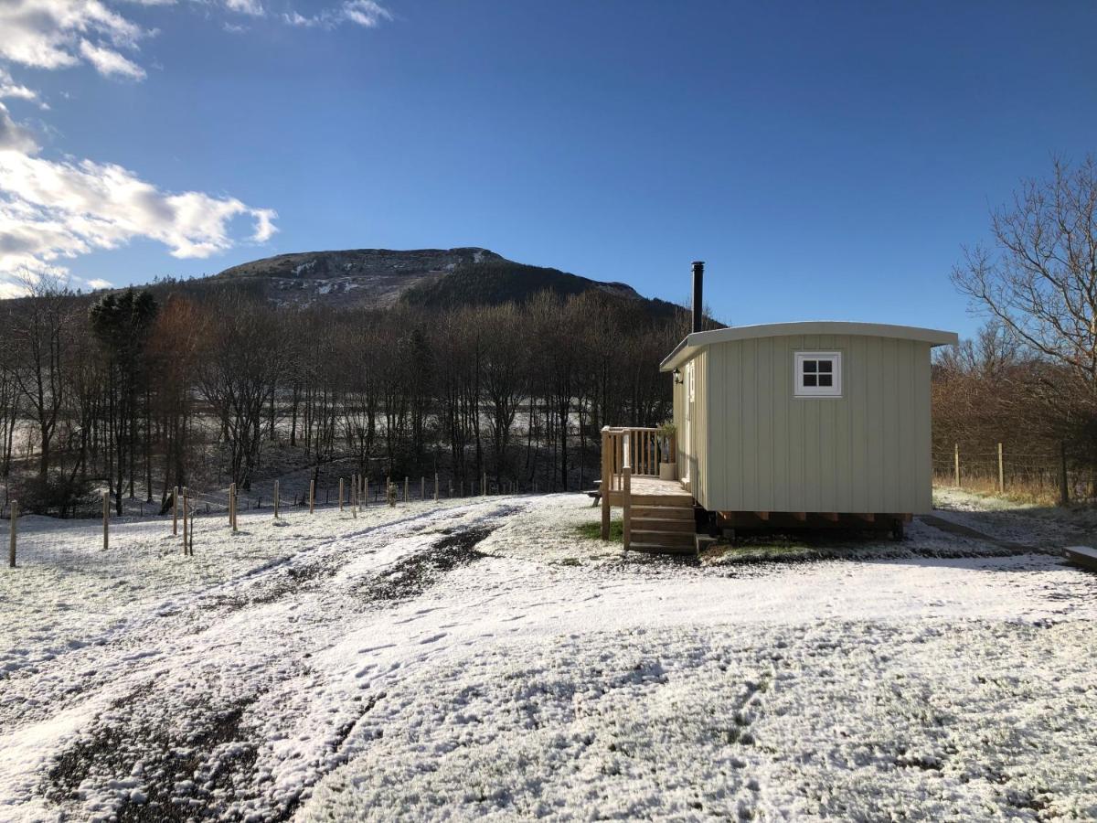 Rosemary Shepherds Hut, Clay Bank Huts Ingleby Greenhow Buitenkant foto