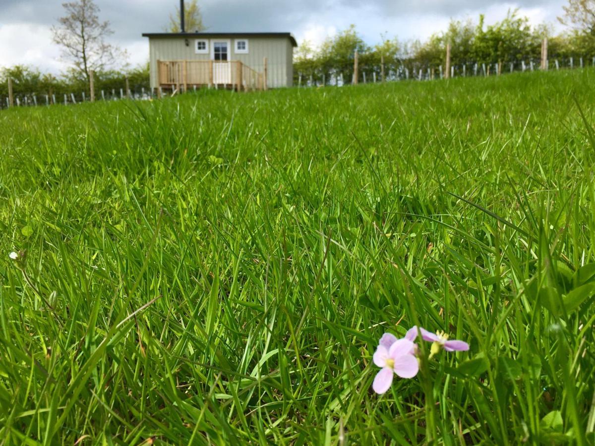 Rosemary Shepherds Hut, Clay Bank Huts Ingleby Greenhow Buitenkant foto