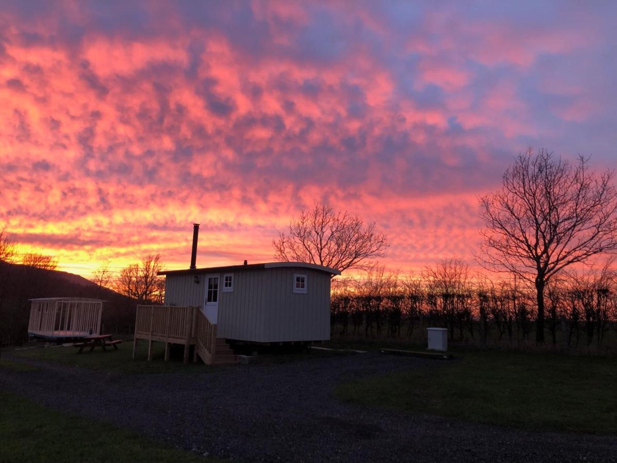 Rosemary Shepherds Hut, Clay Bank Huts Ingleby Greenhow Buitenkant foto